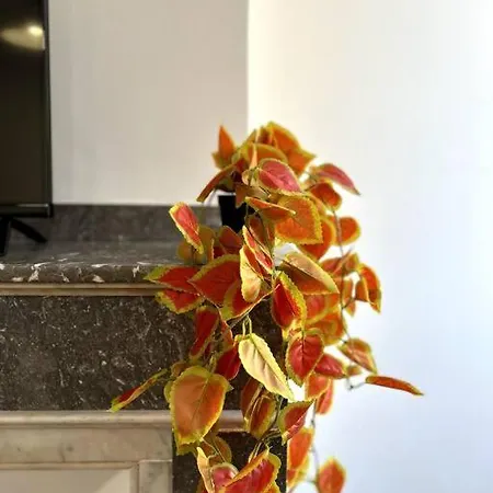 Le Toulousain 302 - Cosy En Hypercentre - Quartier Jeanne-d'arc Apartamento